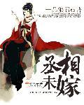 丞相之子嫁给将军