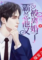 书名霸总离婚吧
