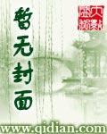 新宋 大结局珍藏版