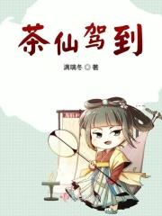 茶仙在哪直播