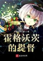 霍格沃茨的提督 下架了