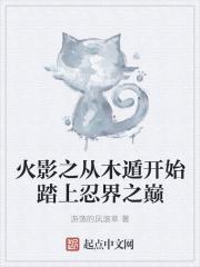 火影之木遁天下