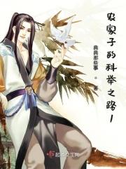 农家子的科举之路 彦王爷