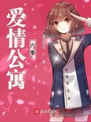 爱情公寓六季百度百科