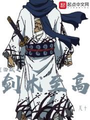 海贼王之剑道至上