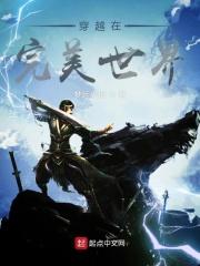 求一本穿越到完美世界的