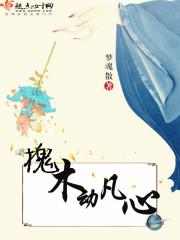 槐木是什么树