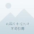 打上灵山盗版