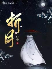 折月只今免费阅读
