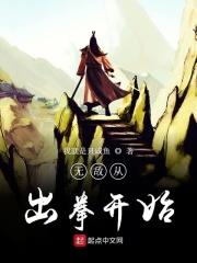 无敌从拳法大成开始顶点