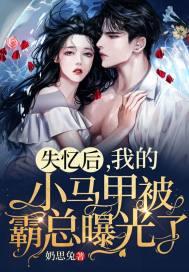 失忆后我火了全文