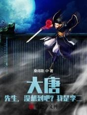 大唐我丢