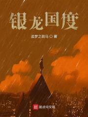 银龙国度txt