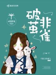 破茧是什么