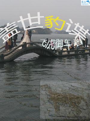 盖世豹谍